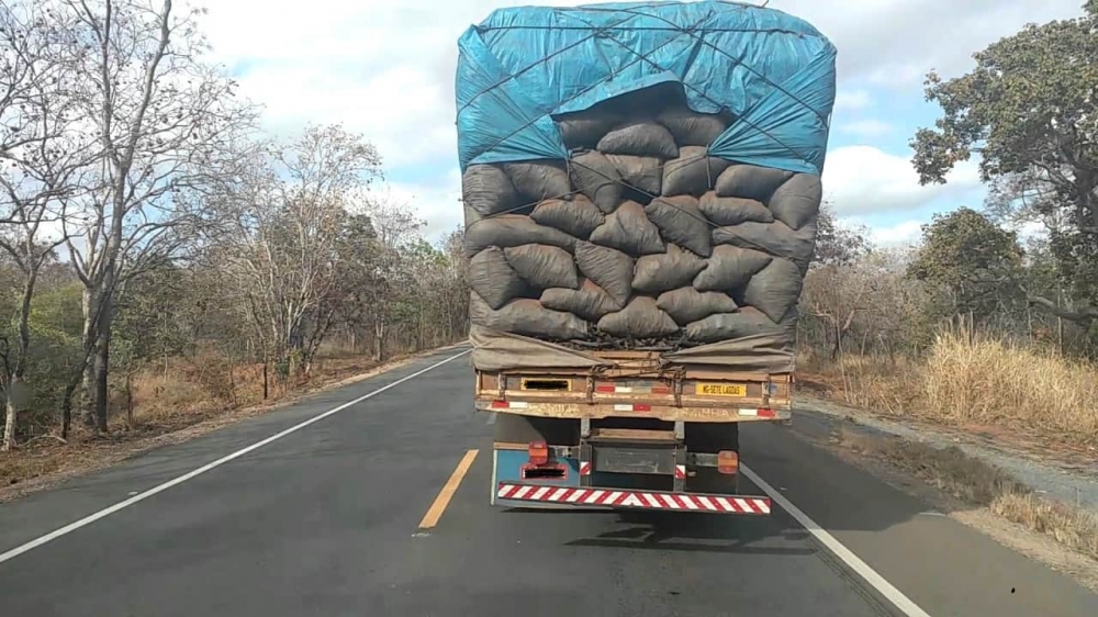 Saiba quais são os riscos de transportar carga em excesso