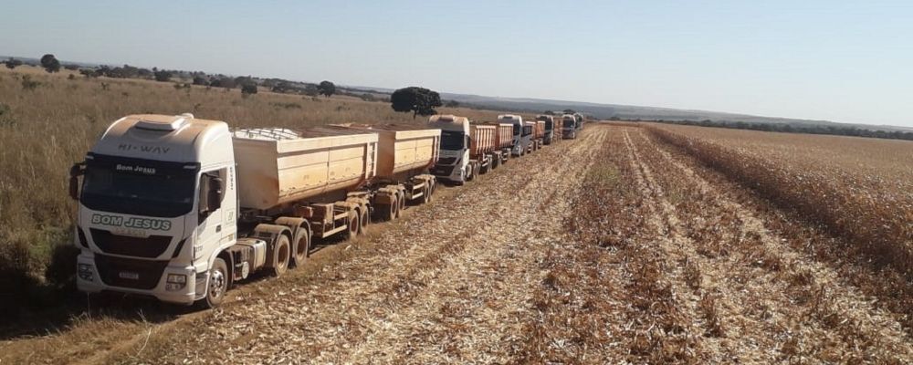 Bom Jesus Transportes amplia frota com 112 caminhões Iveco