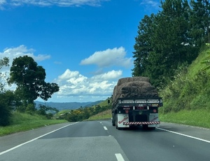 Nova regra obriga registro de exames toxicológicos para transportadoras